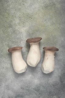 Fresh eringi mushrooms, raw, royal oyster mushrooms, three pieces, Asian cuisine, no people