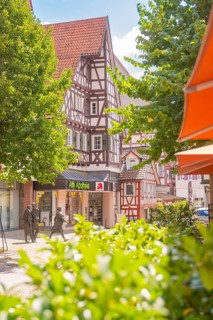 Half-timbered house with pharmacy in sunny, green surroundings, small town of Perle Calw, Black