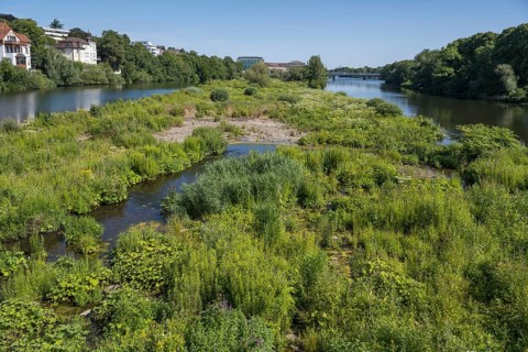 Saarn-Mendener Ruhraue, nature reserve, Mülheim an der Ruhr, Rurgebiet, North Rhine-Westphalia,