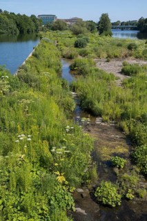 Saarn-Mendener Ruhraue, nature reserve, Mülheim an der Ruhr, Rurgebiet, North Rhine-Westphalia,
