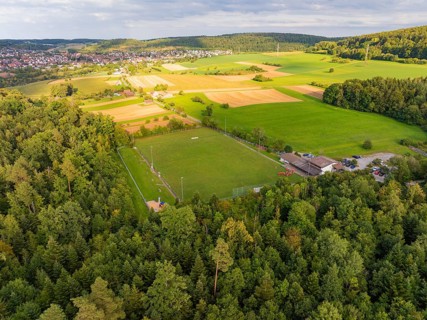 Forests and fields around a settlement, sports field embedded in nature, VFL Stammheim, Calw, Black