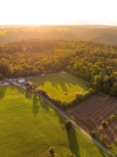 Light and shadow over green meadows and forest at sunset, VFL Stammheim, Calw, Black Forest,