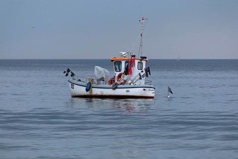 Fishing boat off Falckenstein Strand, Kiel Fjord, Kiel, Schleswig-Holstein, Germany