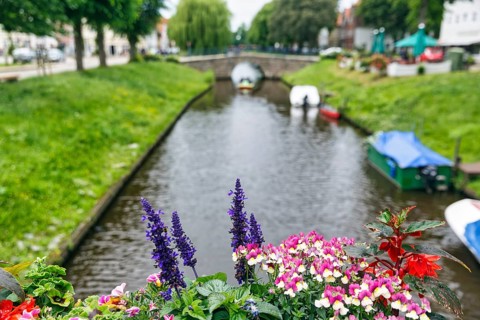View over flower decoration on Mittelburggraben, blurred, Old Town, Friedrichstadt, Germany