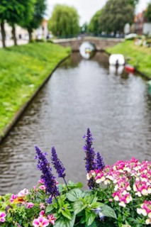 View over flower decoration on Mittelburggraben, blurred, Old Town, Friedrichstadt, Germany
