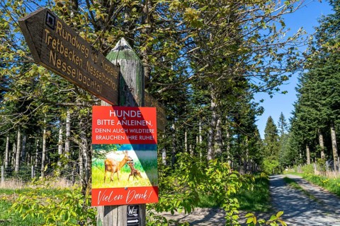 Sign in a wooded area near Altastenberg in the Sauerland, dogs must be kept on a lead, to protect