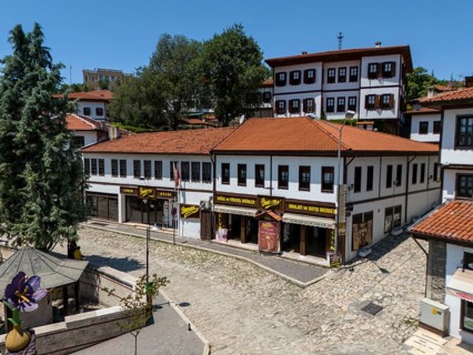 Buildings with red roofs and shops on a sunny day in a quiet, tree-lined street, aerial view,