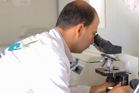 A laboratory technician analyzing blood samples using a microscope in a medical laboratory. Aleppo,