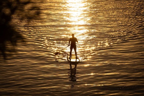 A paddler paddles on the Main in Frankfurt, Frankfurt am Main, Hesse, Germany