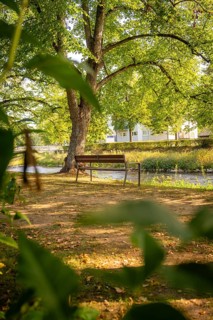 Wooden bench in a shady park with large trees on a sunny day, Nagold, district of Calw, Black