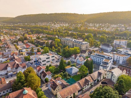Urban environment with residential buildings and many trees, rising hills in the background in