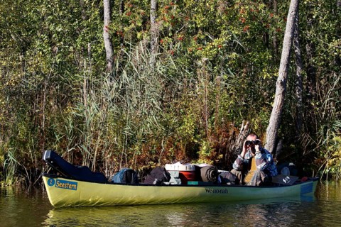 Canoeists in a canoe, Müritz National Park, Mecklenburg-Western Pomerania, Germany
