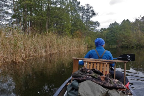 Müritz National Park, Mecklenburg-Western Pomerania, Germany