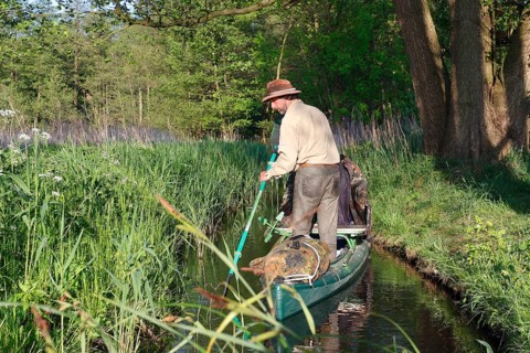 Canoeist standing in a canoe, Müritz National Park, Mecklenburg-Western Pomerania, Germany