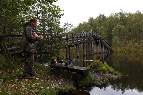Tourist at the bridge over the Drosedower Bek, Müritz National Park, Mecklenburg-Western Pomerania,