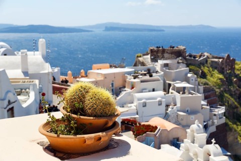 Flower pot, ball cactus in a bowl, view down to white holiday homes and the castle of Agios