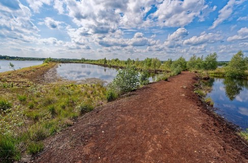 A drained peat path leads through the water areas in the Himmelmoor. Himmelmoor, the largest raised