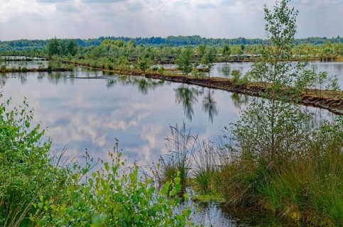 Dry peat paths separate the water areas in the Himmelmoor. Himmelmoor, the largest raised bog in