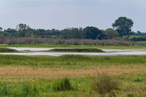 Heath, water areas, marshes, forests, salt marshes and dunes characterise the landscape in the