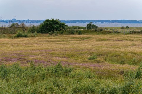 Heath, water areas, marshes, salt marshes and dunes characterise the landscape in the Geltinger
