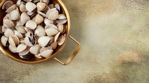 Freshly frozen vongole clams, in a frying pan, top view, no people