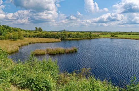 Water area in the Wildes Moor nature reserve. The moor, an area in the district of