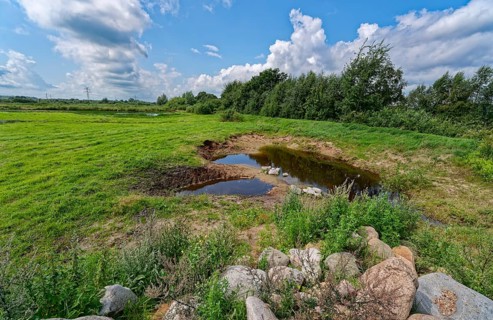Landscape in the Wildes Moor nature reserve. The moor, an area in the district of