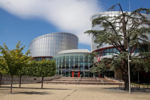 The European Court of Human Rights in Strasbourg