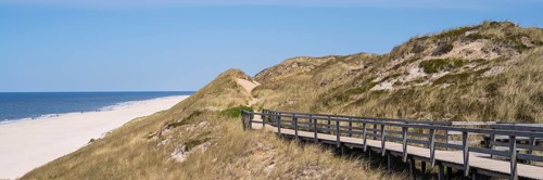 Wooden walkway through the dune, panorama format, Kampen, Sylt, North Frisia, Schleswig-Holstein,