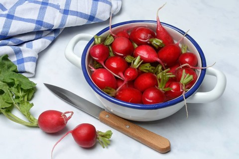 Radish in skin, in water, Raphanus sativus