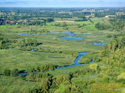 Water surfaces of the Trave and vegetation in the Brenner Moor. Aerial view. The Brenner Moor is a
