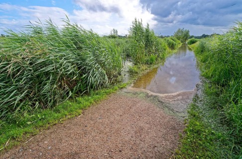 Flooded footpath after heavy rainfall in Brenner Moor. The Brenner Moor is a salt moor, FFH area,