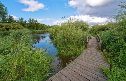 Footpath and bridge on the River Trave in Brenner Moor. The Brenner Moor is a salt moor, FFH area,