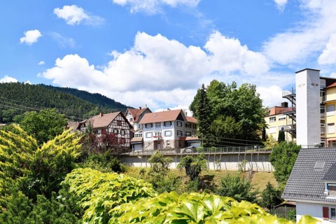 Forbach, Germany - July 12th 2025: Buildings surrounded by trees in Forbach. Scenic summer view of