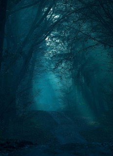 Mystical dark forest in shades of blue, fog, flooded with low light, foggy, gloomy forest path,