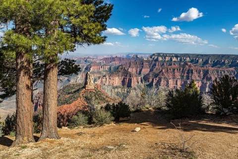 North Rim of the Grand Canyon in Northern Arizona, USA