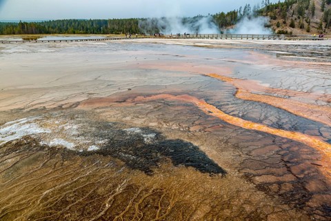 180819_371 Brown layered stratiform mats at the outer perimeter of the Grand Prismatic Spring in