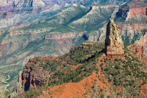 190601_130 North Rim of the Grand Canyon in Northern Arizona, USA