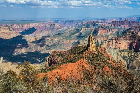 190601_123 North Rim of the Grand Canyon in Northern Arizona, USA