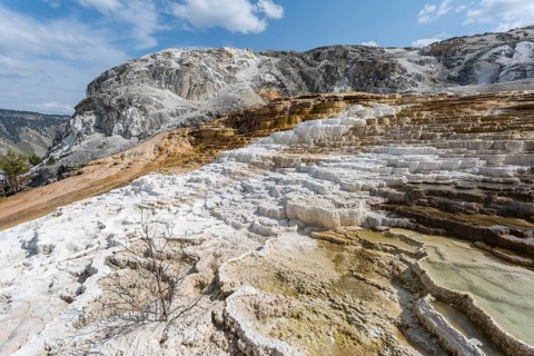 180822_221 Terraced pools of hot spring water at Mound Spring in the Mammoth Hot Springs area of