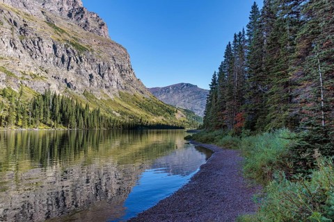 240831_124 Pine forest and rugged mountains along the shoreline of Lake Josephine in Glacier