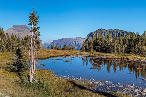 240905_116 Pond along the Hidden Lake Overlook Trail from the Logan Pass Visitor Center in Glacier