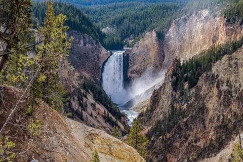 240913_091 Lower Falls of the Yellowstone River in Yellowstone National Park, Wyoming, USA