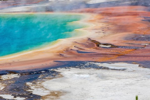 180823_028 Brown layered stratiform mats at the outer perimeter of the Grand Prismatic Spring in
