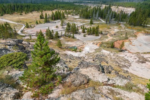 180819_170 Visitors on boardwalk through the Geysers and hot springs of the Artists' Paintpots area