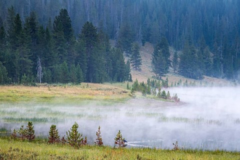 180819_001 Early morning fog rising from the Madison River along Hwy 191 near the west gate of