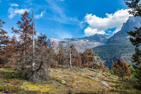 180828_195 Rugged mountains in the Two Medicine area of Glacier National Park, Montana, USA