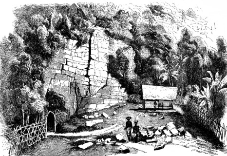 Caves with edible swallow nests in Java, food, swallows, nest, travel, indigenous population,