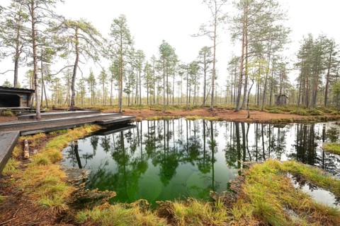 Emerald green spring water reflects autumn trees. Frog spring in the moor, wetland in Arvidsjaur,