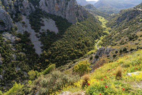 The Manikia Gorge on the island of Euboea or Evia, Greece